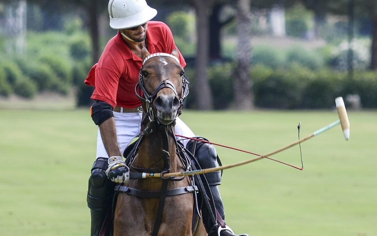 Horse polo