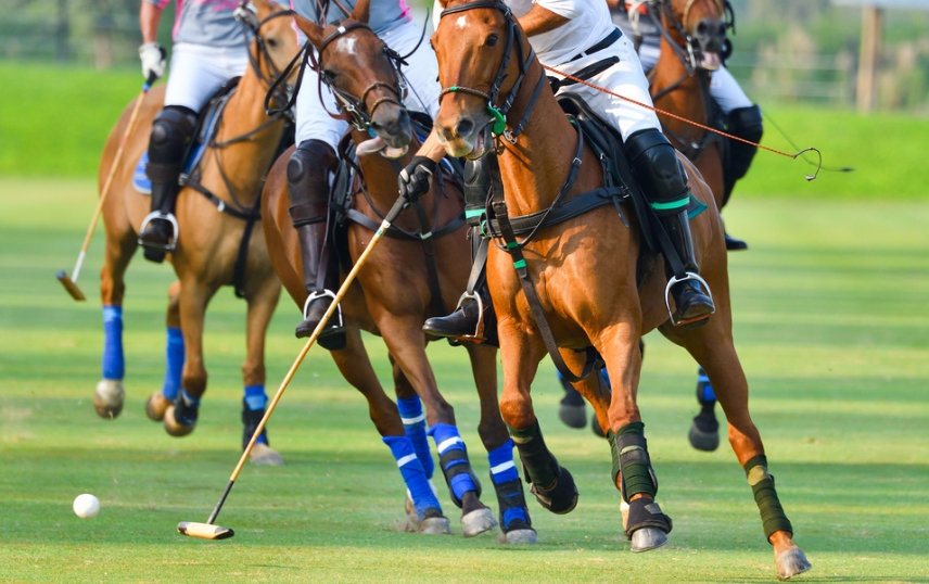 a polo gameplay on the field with players on the horses