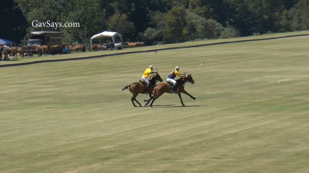 two players on horses during polo game on the field, other horses and trees behind