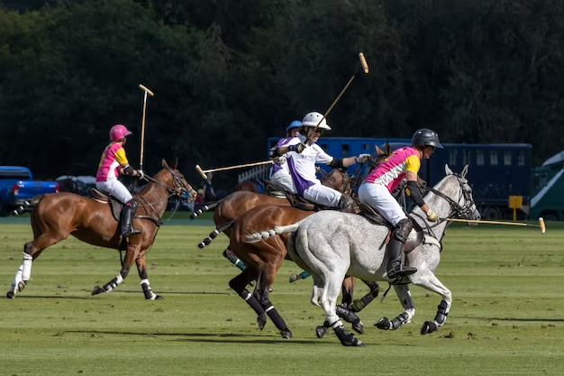 Horizontal bar in Polo, several men on horseback hold sticks in their hands and catch up with the ball