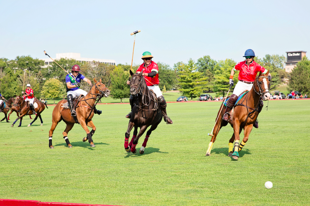 Polo tournament, several men on horseback chasing a ball with clubs